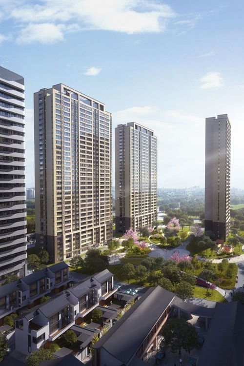 多維度解析辰雨如畫 冠魯房地產(chǎn)開發(fā)與濟寧豐碩置業(yè)的匠心之作